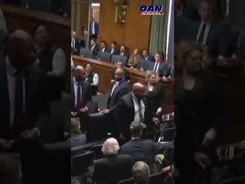 Why are liberals like this? #news #politics #rfkjr #oan