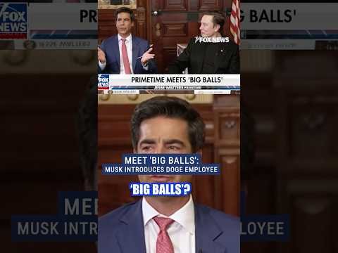 Why this DOGE employee goes by 'big balls' #funny #elonmusk #doge #trump #foxnews #news #shorts