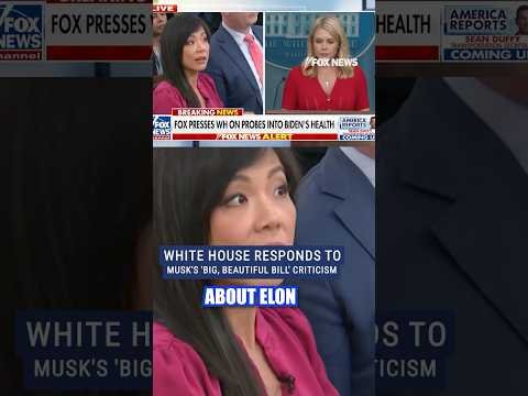 Leavitt on Elon Musk's criticism of Trump's 'big, beautiful bill' #shorts #trump #elonmusk #congress 1 Leavitt on Elon Musk's criticism of Trump's 'big, beautiful bill' #shorts #trump #elonmusk #congress