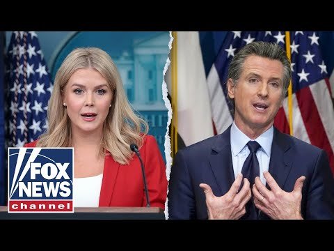 Leavitt: LAPD has been 'knee-capped' by 'incompetent' Dems