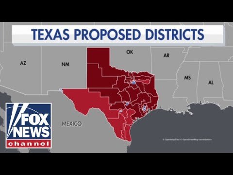 Texas Dems given deadline to return or be REPLACED over redistricting fight