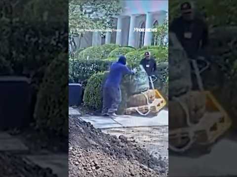 ‘WE CAUGHT THEM’: Trump BANS contractor over Rose Garden damage #shorts #foxnews #news #us #fox 1 ‘WE CAUGHT THEM’: Trump BANS contractor over Rose Garden damage #shorts #foxnews #news #us #fox