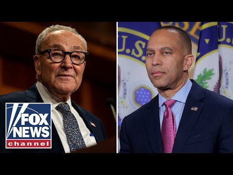 ‘DISGRACE’: NY congresswoman SLAMS Schumer, Jeffries