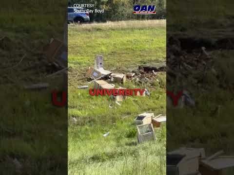 Disease-carrying monkey on the loose in Mississippi, reportedly infected with hepatitis C & herpes 1 Disease-carrying monkey on the loose in Mississippi, reportedly infected with hepatitis C & herpes