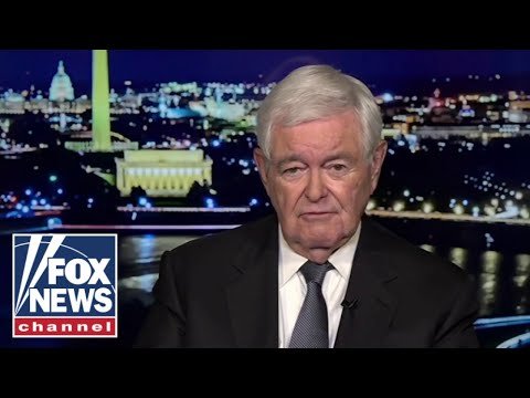 Newt Gingrich: These guys are 'CRAZY' 1 Newt Gingrich: These guys are 'CRAZY'