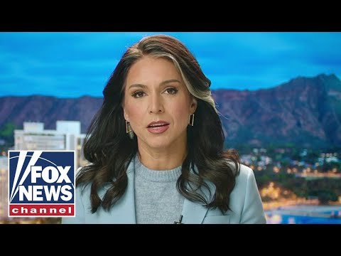 Tulsi Gabbard issues warning: Trump is 'NOT MESSING AROUND' 1 Tulsi Gabbard issues warning: Trump is 'NOT MESSING AROUND'