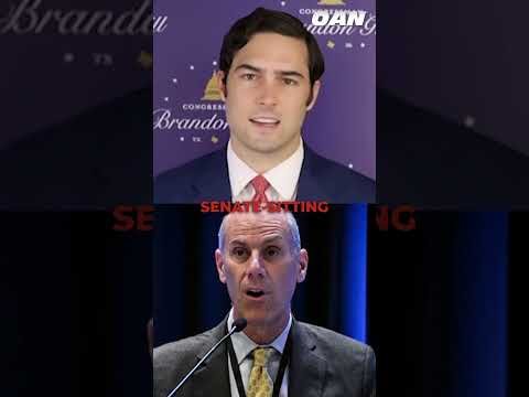 Articles of impeachment were formally introduced against Chief Judge James Boasberg 1 Articles of impeachment were formally introduced against Chief Judge James Boasberg