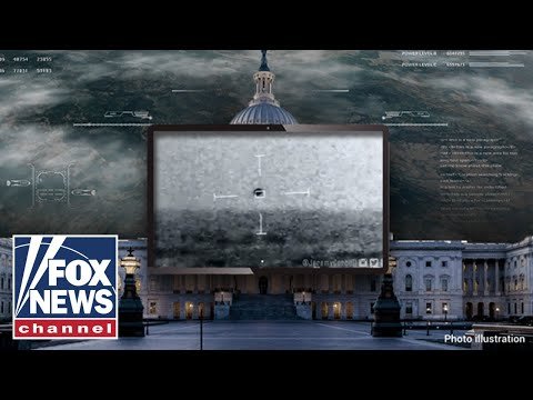 'They're not human': Watch government officials BREAK silence on non-human life