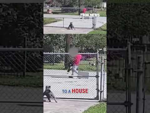 Illegal immigrant arrested after security camera catches kidnapping #shorts #foxnews #news #us #fox 1 Illegal immigrant arrested after security camera catches kidnapping #shorts #foxnews #news #us #fox