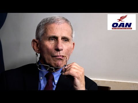 Republicans Demand NIH Halt $3M Funding for Dr. Fauci's Bat Lab in Colorado