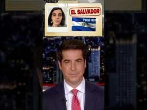 Watters: Liberals are fighting for the worst of the worst  #foxnews #news #politics  #media