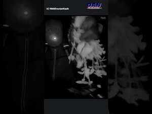 Kash Patel releases additional video from Guthrie's home showing masked man obstructing camera