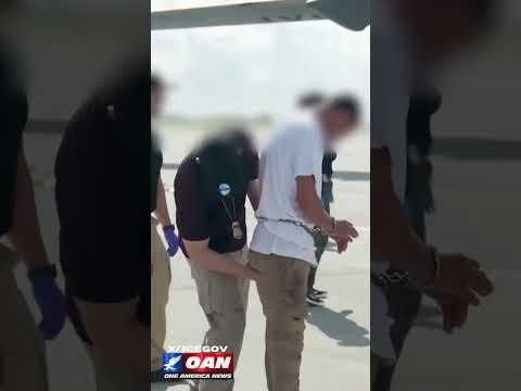 ICE shares a video of Illegal Aliens in the United States being sent back to their countries