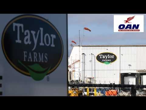 FDA: Taylor Farms Lettuce Sample Produced False Positive 1 FDA: Taylor Farms Lettuce Sample Produced False Positive