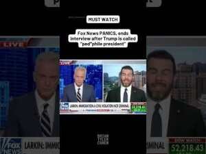 Fox News PANICS, ends interview after Trump is called 'ped*ph*le president'