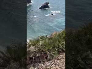 Beachgoers ABANDON shore as migrant boat arrives on Spanish coast #shorts