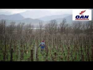 South Africans Raise Concerns Over Farm Attacks at Washington Conference